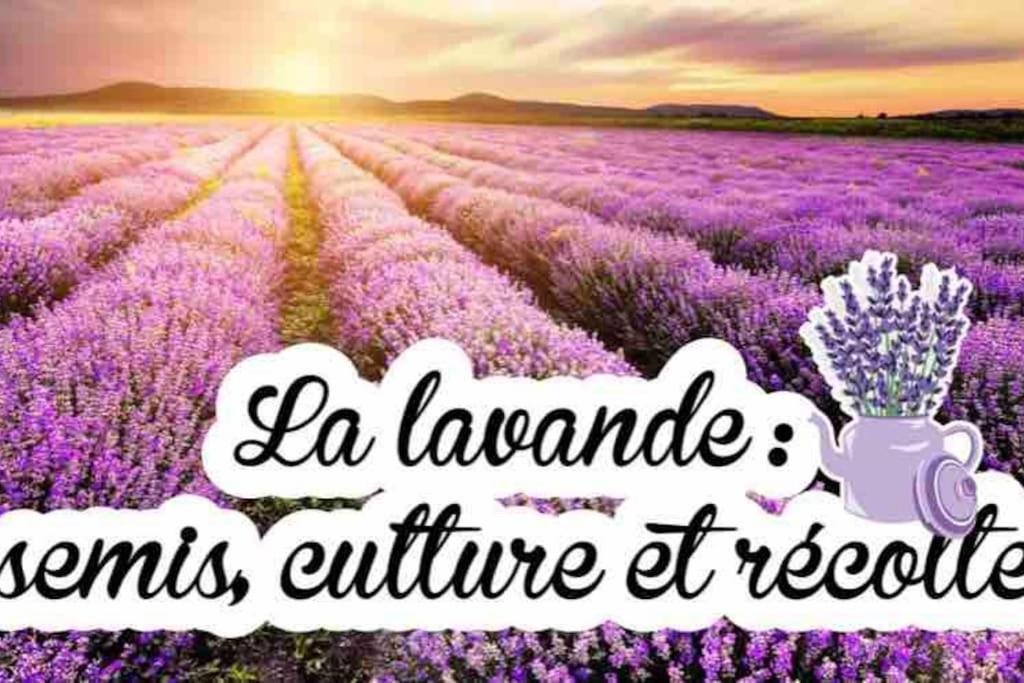 Gite De Charme Le Val Mellis Classe 3 Etoiles Dans La Douceur Provencale Vaumeilh Екстериор снимка